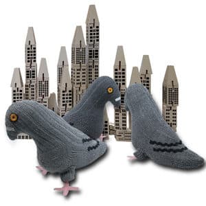 "City Critters" Pigeons
